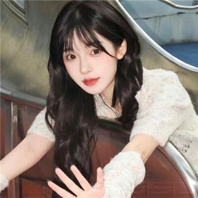 市长先生的完美任期